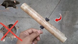 Perangkap tikus dari paralon