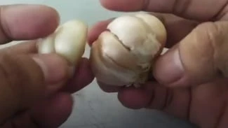 Bawang Putih