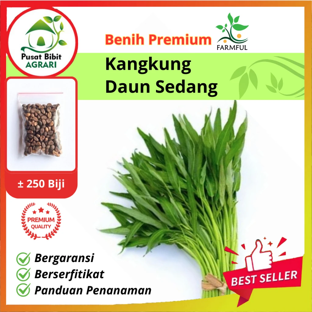 Benih Sayuran Kangkung