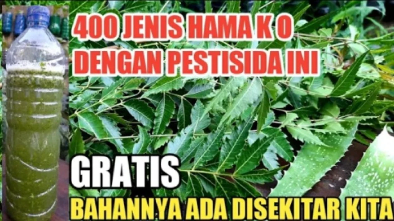 img_title